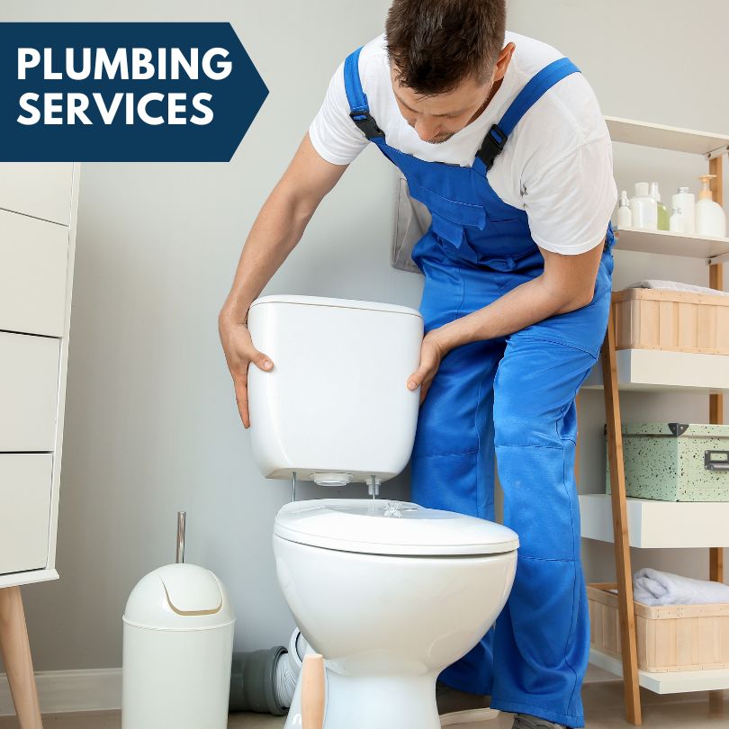 Plumbing Company in Cedar Lake, IN
